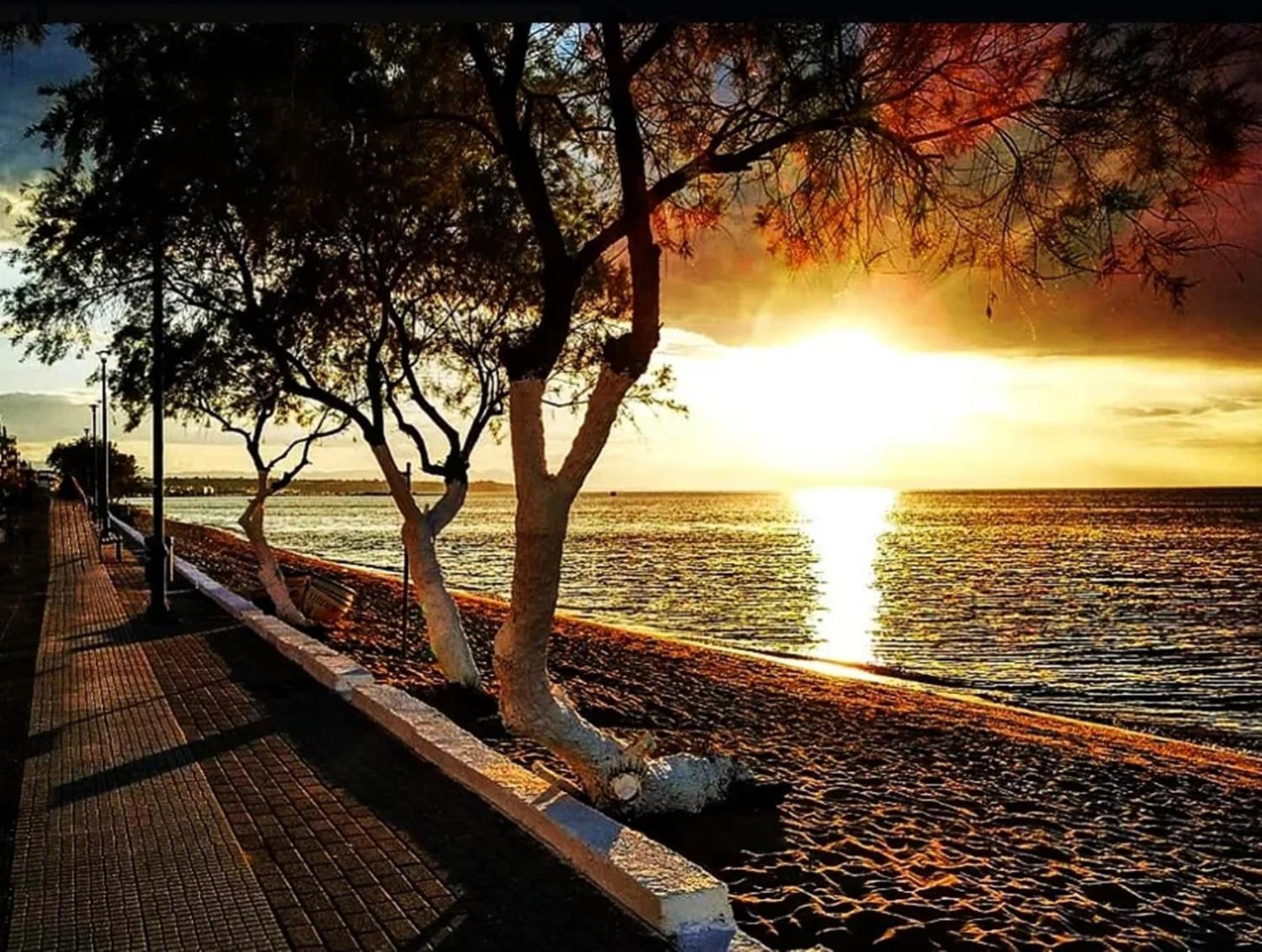 Hellas Dream *